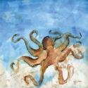 Ocean Octopus