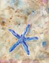 Blue Starfish