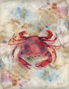 Red Crab