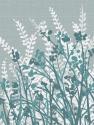 Meadow I