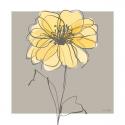 Yellow & Gray II
