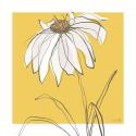 Yellow & Gray III