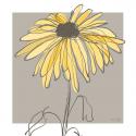 Yellow & Gray IV