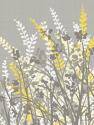 Yellow Meadow I