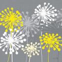 Dandelion II