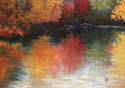 Reflections