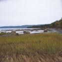 Estuary I