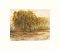 Three Lakes Cottonwoods