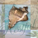 Restful Shell