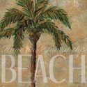 Beach Palm