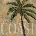 Coastal Palm
