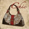 Chic Purse