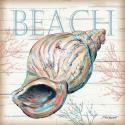 Beach Shell