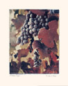 Autumn Print