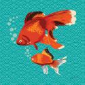 Goldfish I
