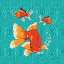Goldfish II