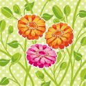 Zinnias II